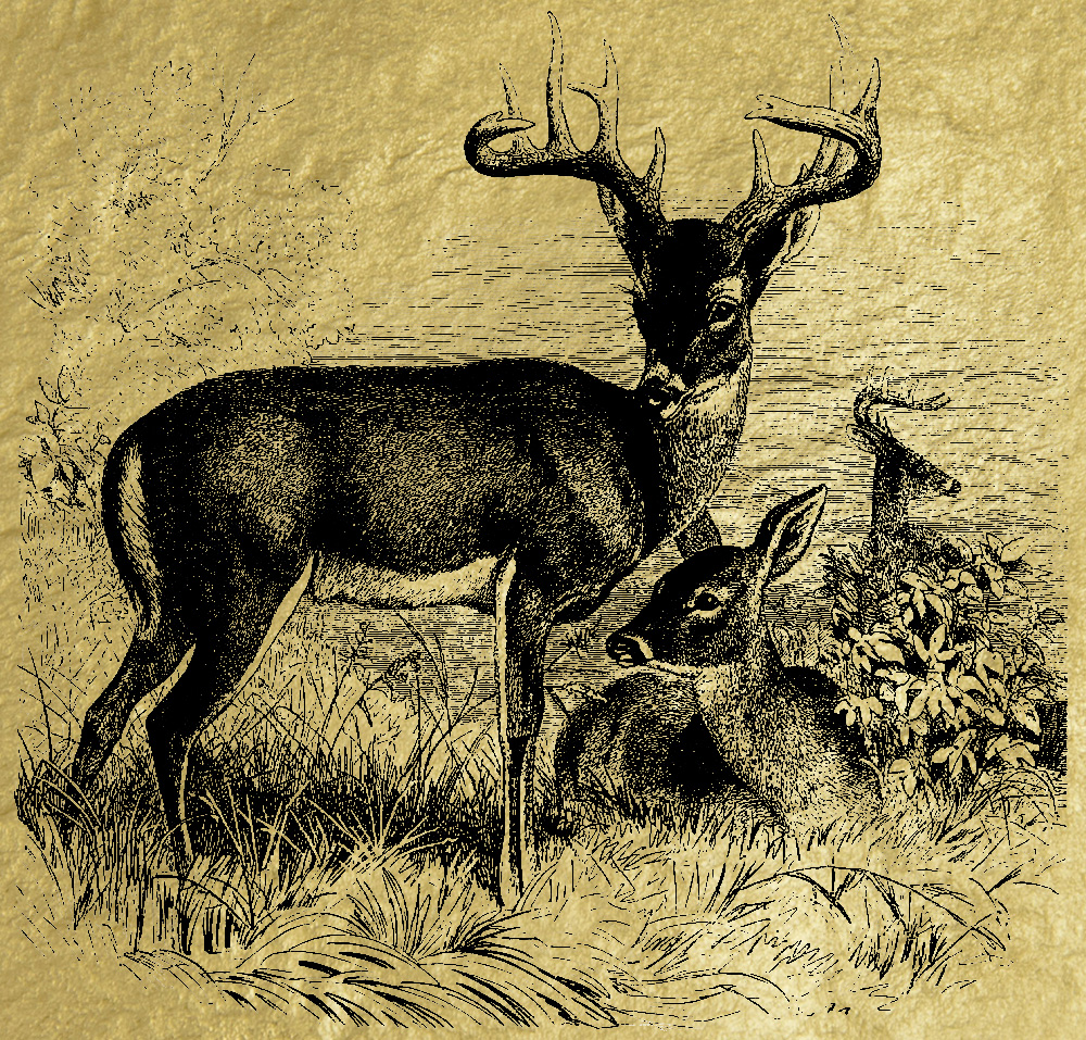 Картина из сусального золота - Белохвостый олень
